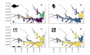 Using eDNA to Understand Urban Estuary Health